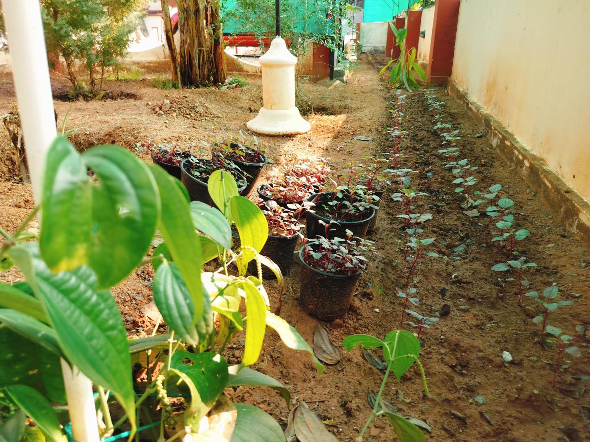 The Ixora - A Boutique Homestay Varkala Eksteriør bilde