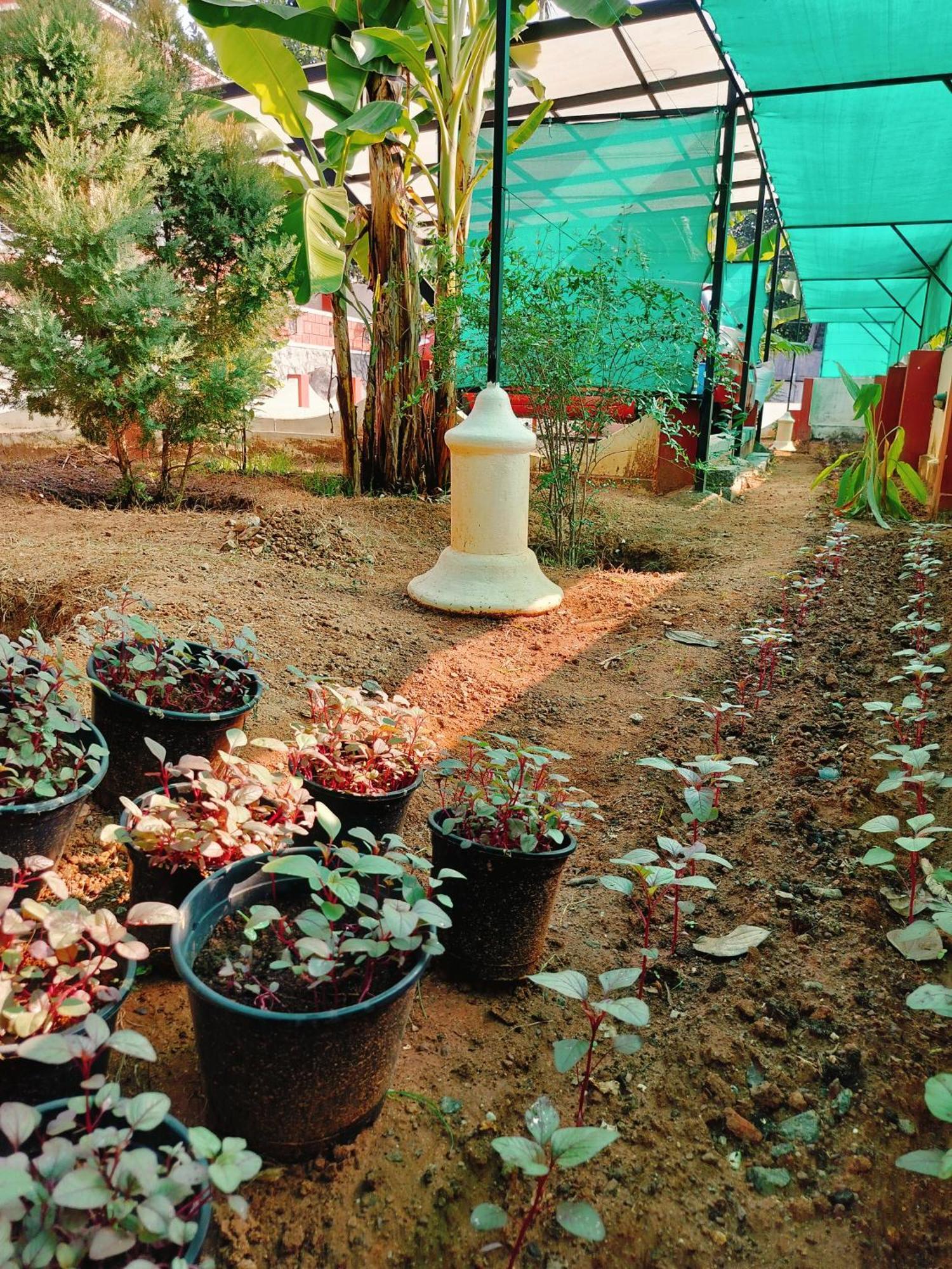 The Ixora - A Boutique Homestay Varkala Eksteriør bilde