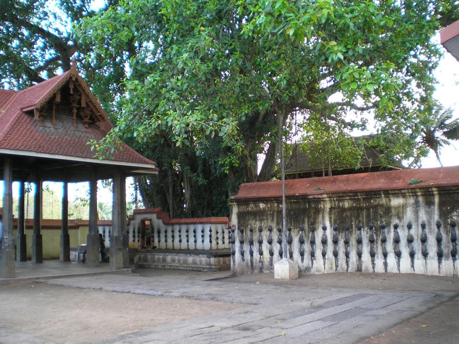 The Ixora - A Boutique Homestay Varkala Eksteriør bilde